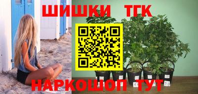 МДПВ Рыбинск