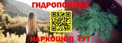 МДПВ Рыбинск