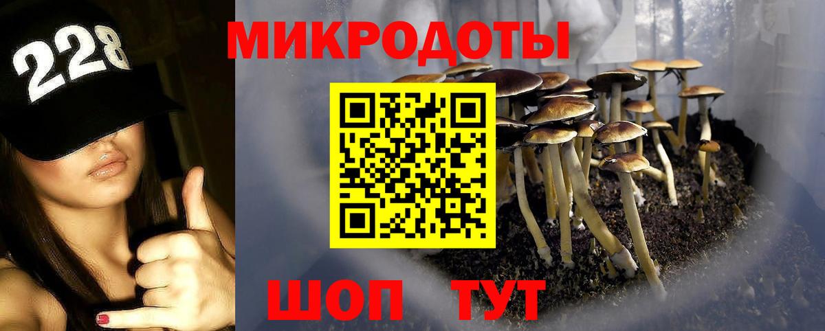 Галлюциногенные грибы мицелий  Псилоцибиновые грибы GOLDEN TEACHER  Светлоград  дарнет шоп  Вход с VPN 